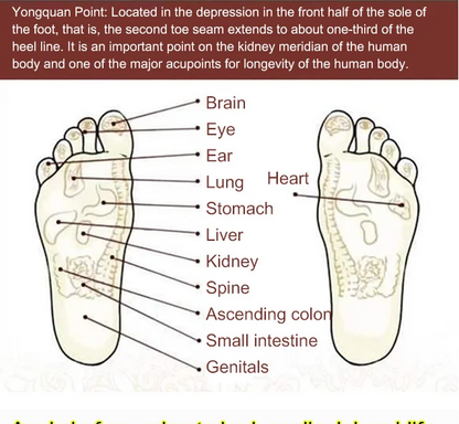 Organic Ginger Anti Swelling Patch